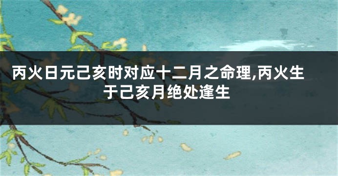 丙火日元己亥时对应十二月之命理,丙火生于己亥月绝处逢生