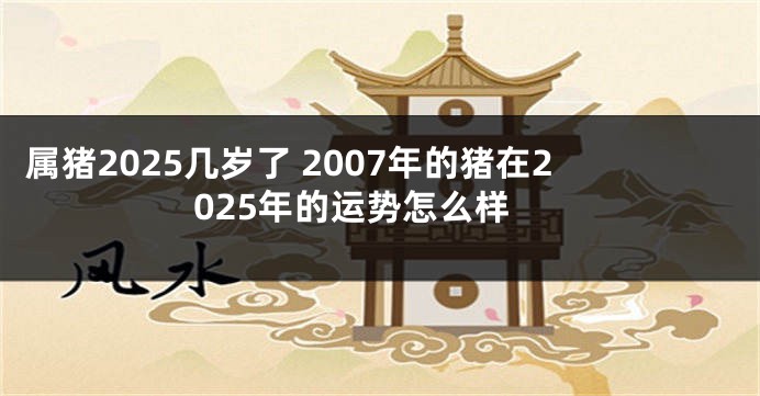 属猪2025几岁了 2007年的猪在2025年的运势怎么样