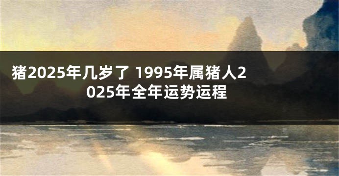 猪2025年几岁了 1995年属猪人2025年全年运势运程