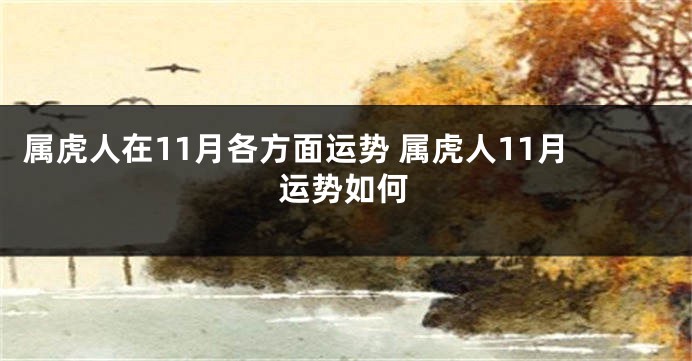 属虎人在11月各方面运势 属虎人11月运势如何