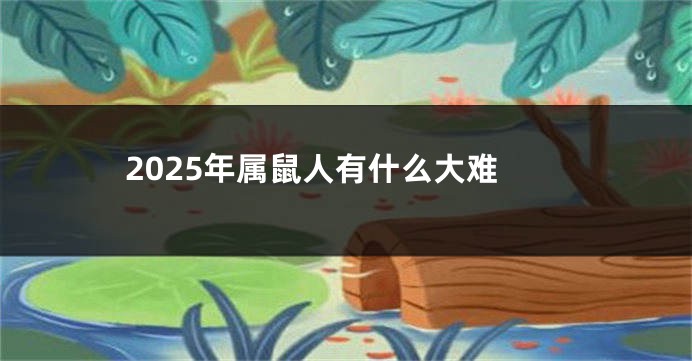 2025年属鼠人有什么大难