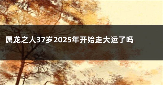 属龙之人37岁2025年开始走大运了吗
