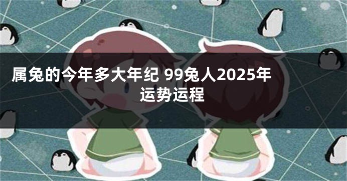 属兔的今年多大年纪 99兔人2025年运势运程