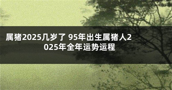 属猪2025几岁了 95年出生属猪人2025年全年运势运程