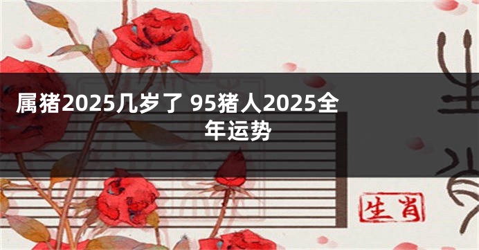 属猪2025几岁了 95猪人2025全年运势