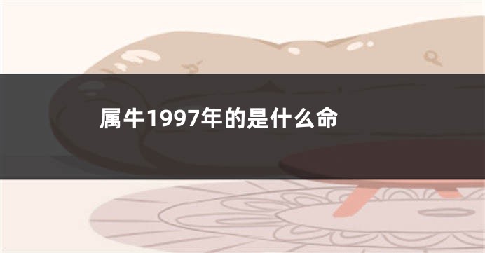 属牛1997年的是什么命