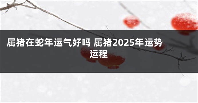 属猪在蛇年运气好吗 属猪2025年运势运程