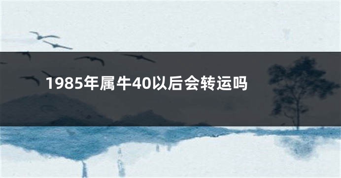 1985年属牛40以后会转运吗