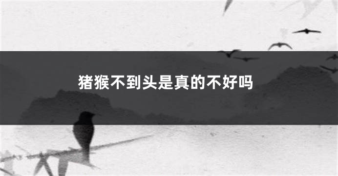 猪猴不到头是真的不好吗