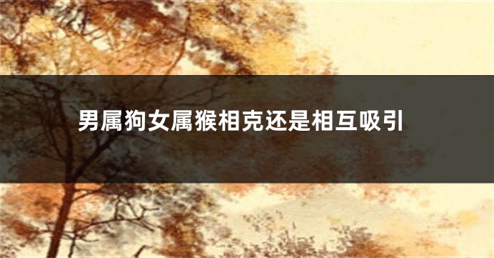 男属狗女属猴相克还是相互吸引