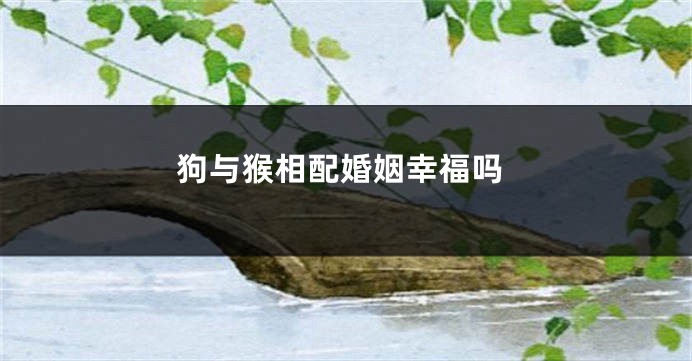 狗与猴相配婚姻幸福吗