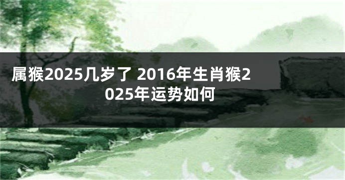 属猴2025几岁了 2016年生肖猴2025年运势如何