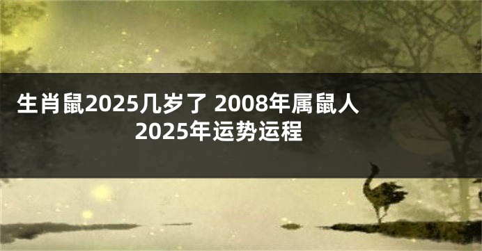 生肖鼠2025几岁了 2008年属鼠人2025年运势运程