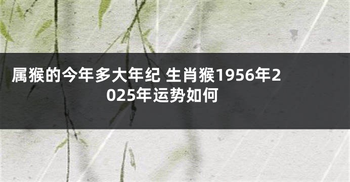 属猴的今年多大年纪 生肖猴1956年2025年运势如何
