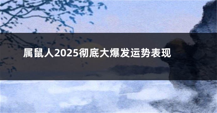 属鼠人2025彻底大爆发运势表现