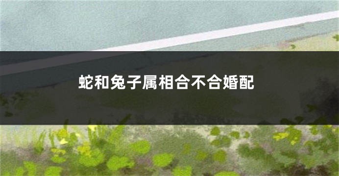 蛇和兔子属相合不合婚配