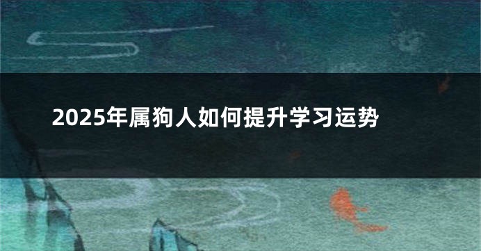 2025年属狗人如何提升学习运势