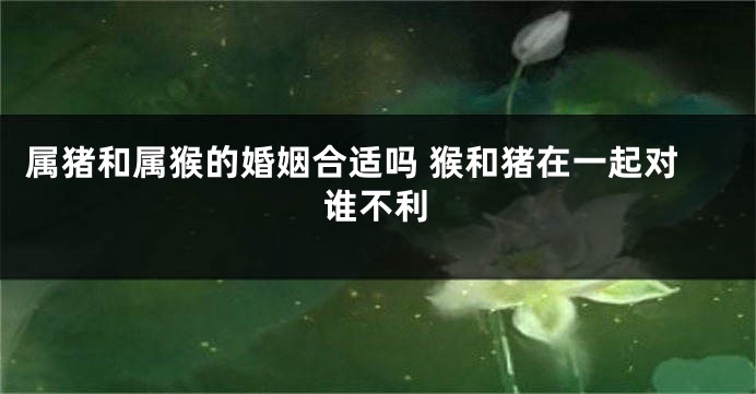 属猪和属猴的婚姻合适吗 猴和猪在一起对谁不利