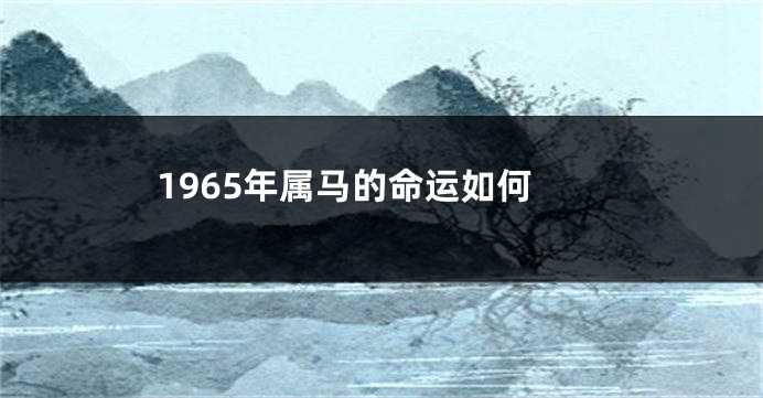 1965年属马的命运如何