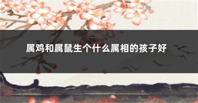 属鸡和属鼠生个什么属相的孩子好