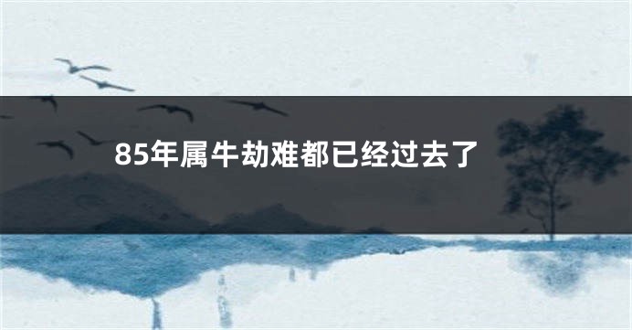 85年属牛劫难都已经过去了