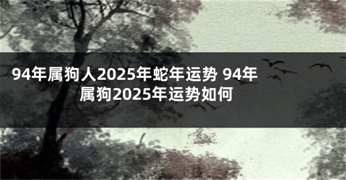 94年属狗人2025年蛇年运势 94年属狗2025年运势如何