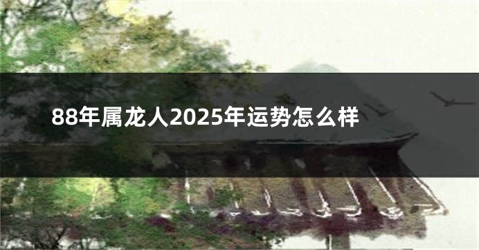 88年属龙人2025年运势怎么样