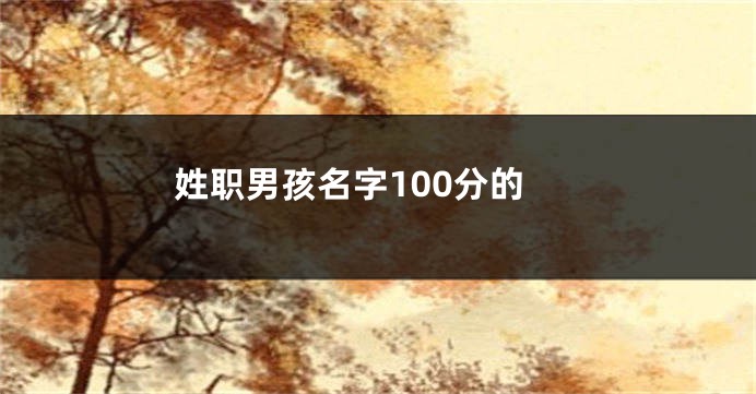 姓职男孩名字100分的