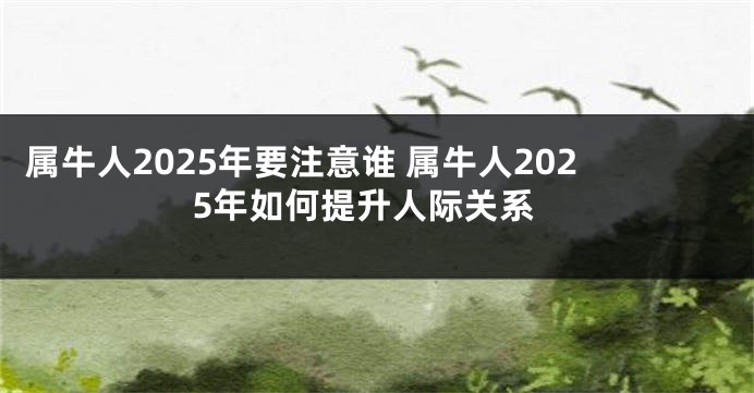 属牛人2025年要注意谁 属牛人2025年如何提升人际关系