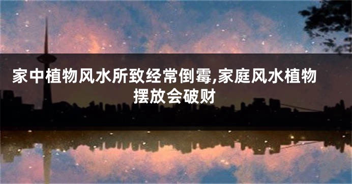 家中植物风水所致经常倒霉,家庭风水植物摆放会破财