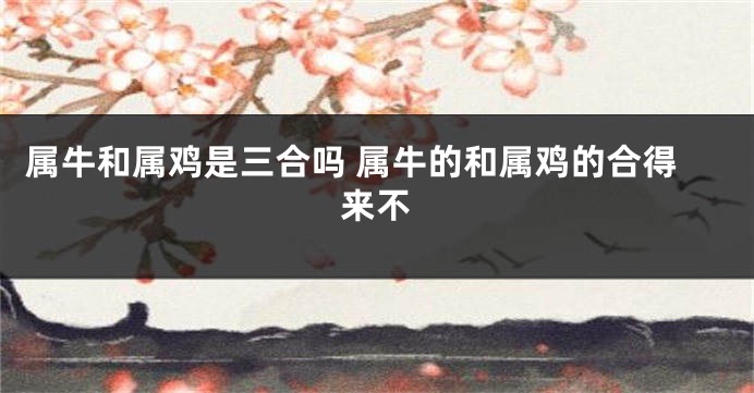 属牛和属鸡是三合吗 属牛的和属鸡的合得来不