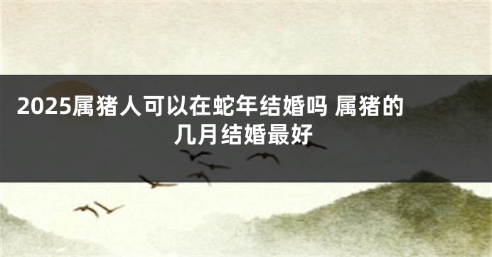 2025属猪人可以在蛇年结婚吗 属猪的几月结婚最好