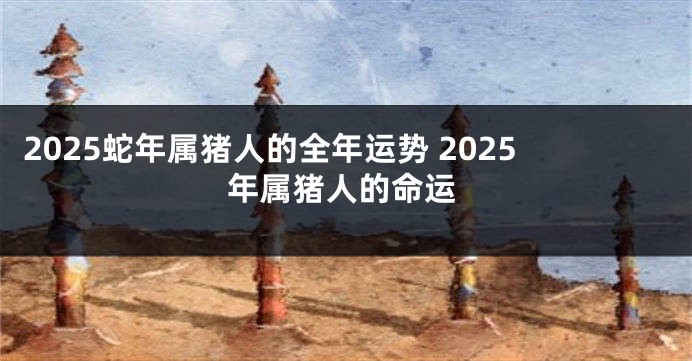 2025蛇年属猪人的全年运势 2025年属猪人的命运