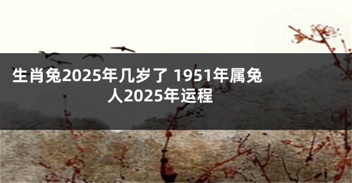 生肖兔2025年几岁了 1951年属兔人2025年运程
