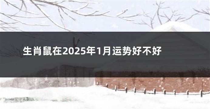 生肖鼠在2025年1月运势好不好