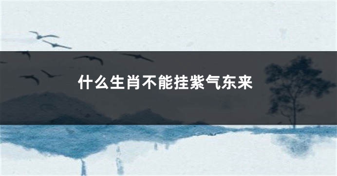 什么生肖不能挂紫气东来