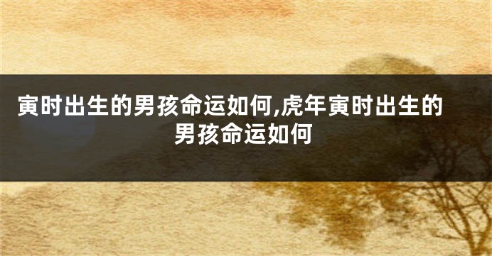 寅时出生的男孩命运如何,虎年寅时出生的男孩命运如何