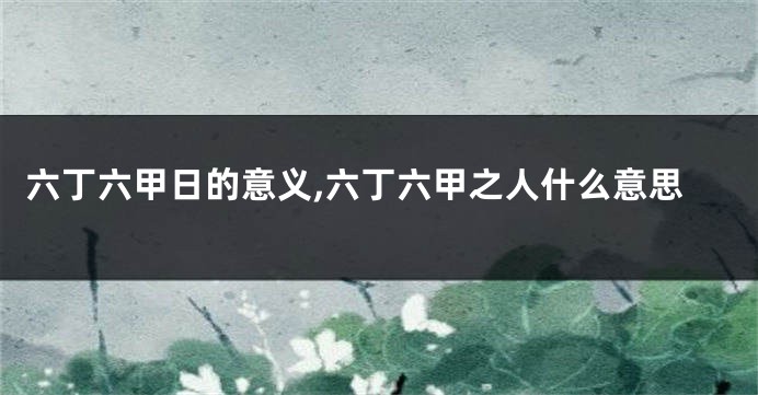 六丁六甲日的意义,六丁六甲之人什么意思