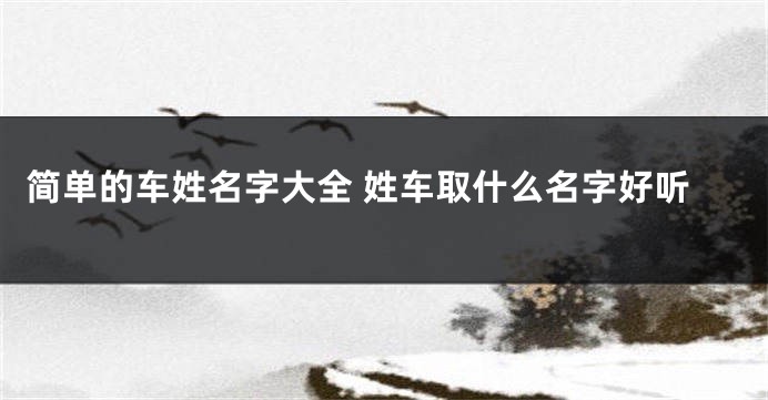 简单的车姓名字大全 姓车取什么名字好听