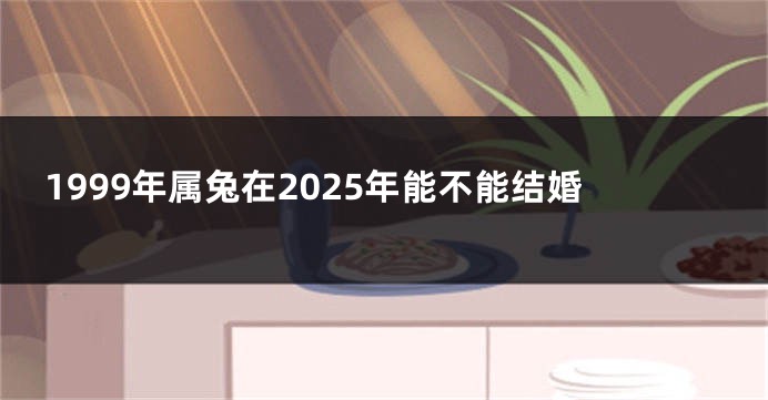 1999年属兔在2025年能不能结婚