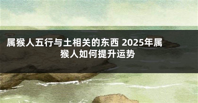 属猴人五行与土相关的东西 2025年属猴人如何提升运势