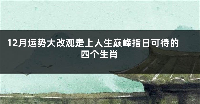 12月运势大改观走上人生巅峰指日可待的四个生肖