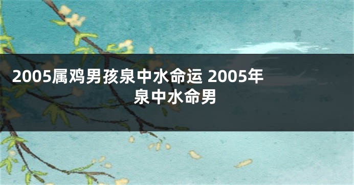 2005属鸡男孩泉中水命运 2005年泉中水命男