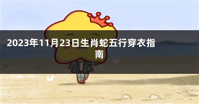 2023年11月23日生肖蛇五行穿衣指南