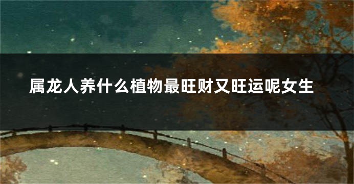 属龙人养什么植物最旺财又旺运呢女生