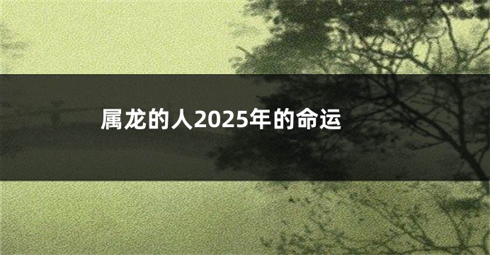 属龙的人2025年的命运