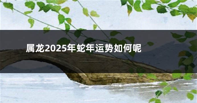 属龙2025年蛇年运势如何呢 