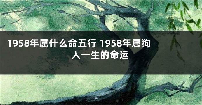 1958年属什么命五行 1958年属狗人一生的命运