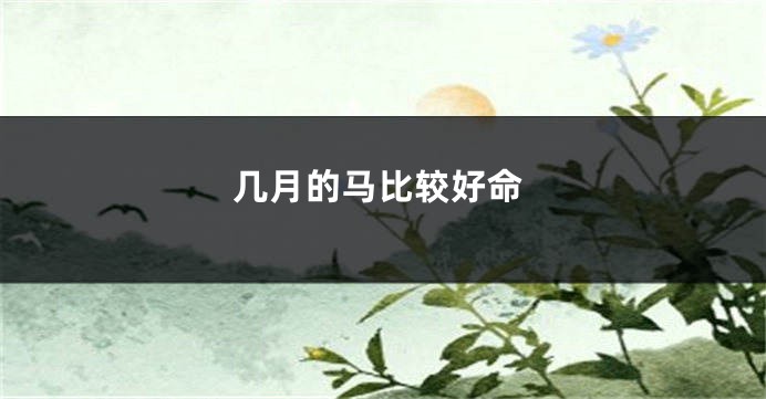 几月的马比较好命