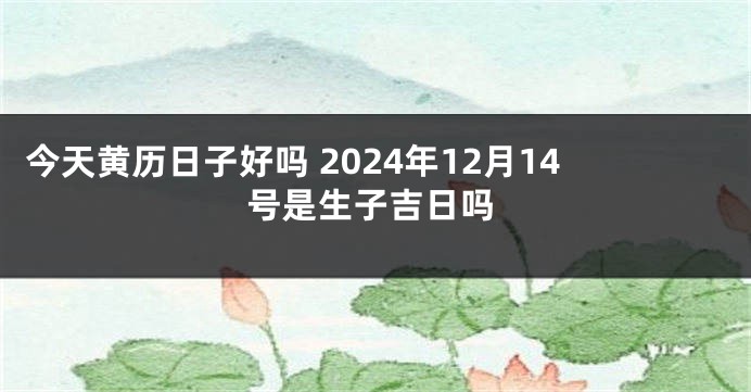 今天黄历日子好吗 2024年12月14号是生子吉日吗